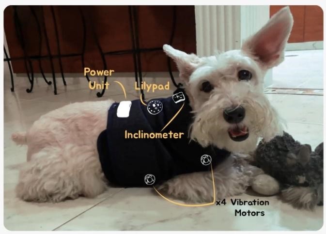 Technology-enhanced Training System for Reducing Separation Anxiety in Dogs